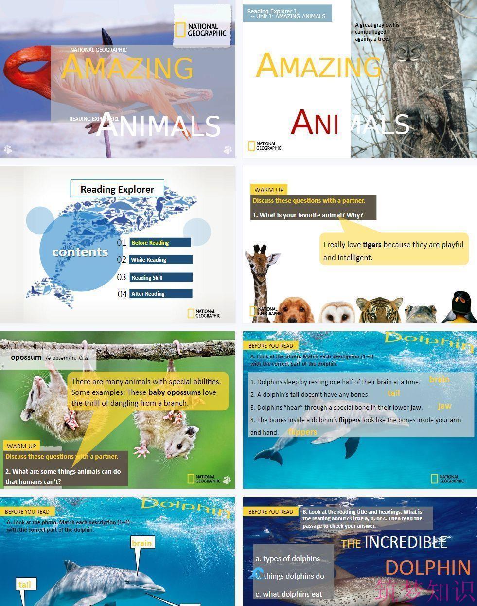 yangkeduo412598 (4).jpg